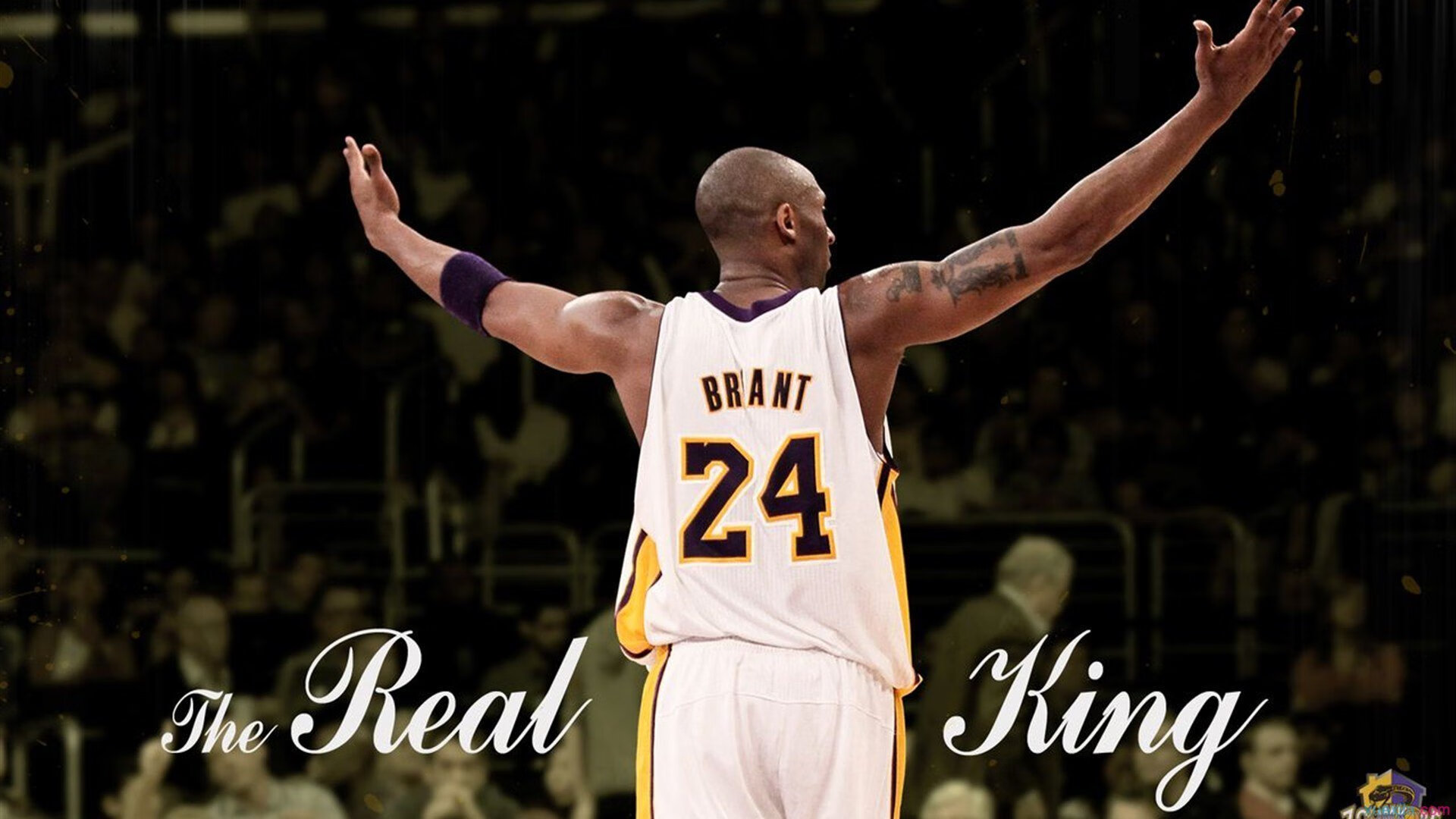 主帅关注场上节奏变化适时变阵应对调整精确体现经验老道